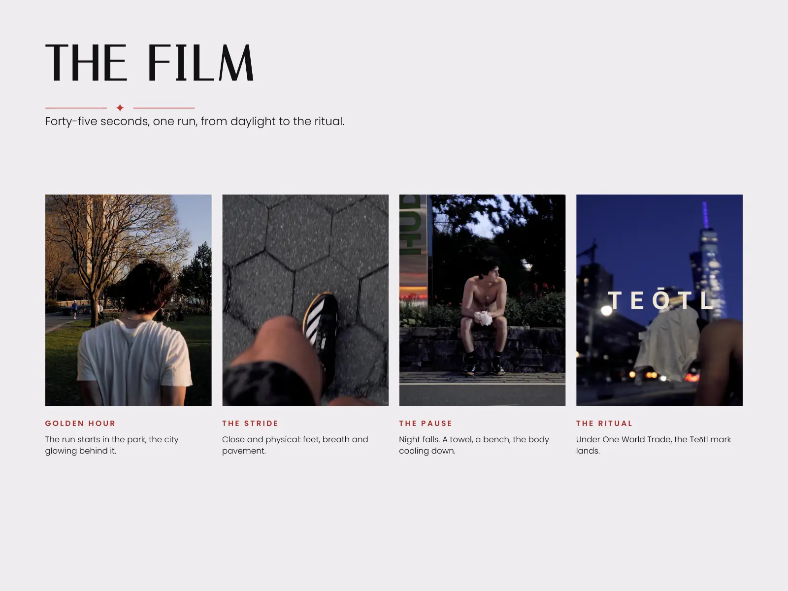 Teōtl case study, slide 4 of 6